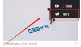 拍视频爆料赚钱吗,揭秘如何通过短视频内容实现财富增长