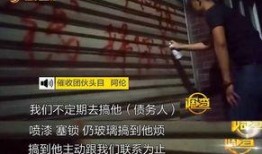 卧底爆料视频完整版,视频完整版揭露黑幕内幕